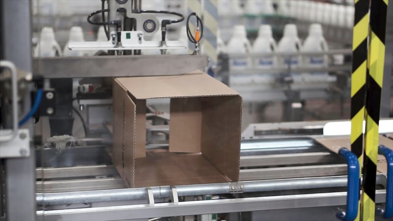 Cardboard box moving on an automated packaging line