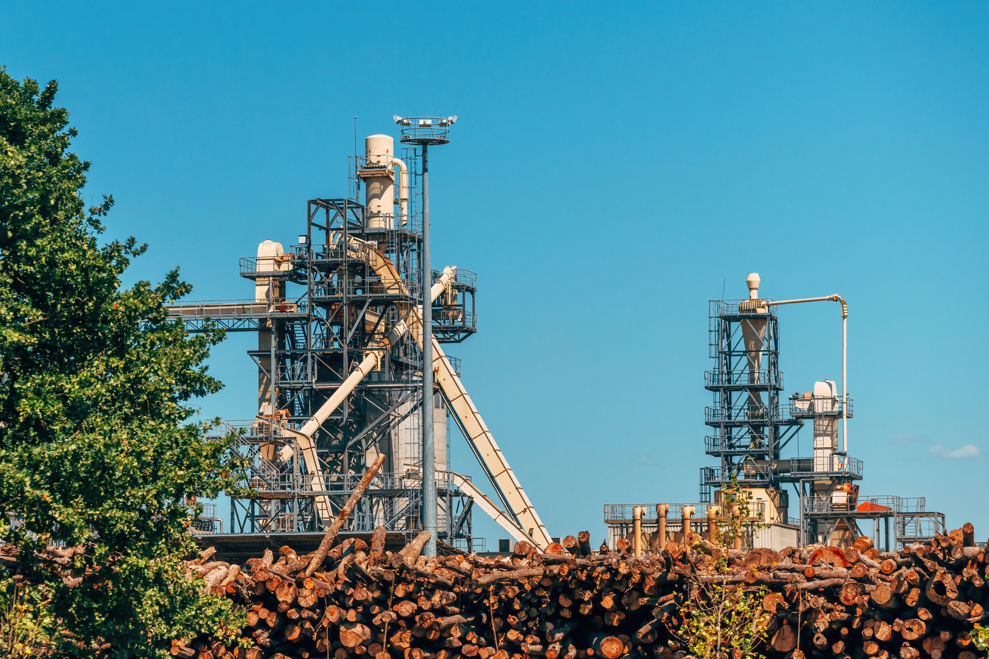 Pulp mill towers behind a pile of logs under a blue sky