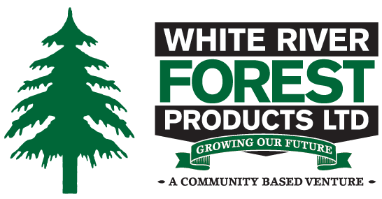 logo1